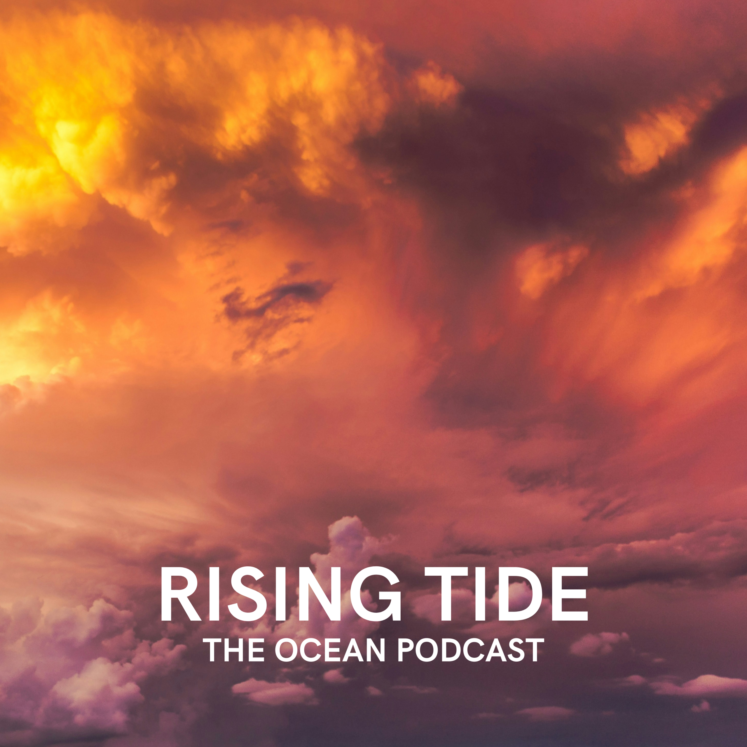 Daniel Swain does more than Predict the Weather
